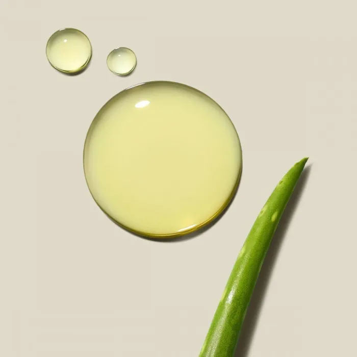 2319-clean-beauty-everyday-shampoo-1.webp