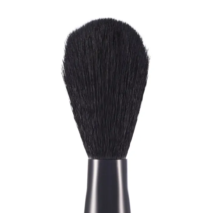 2860-cheek-brush-ch3-1-brush–1.webp