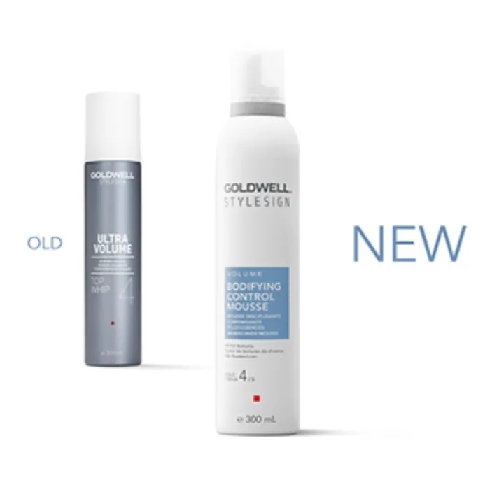 StyleSign Bodifying Control Mousse 300ml