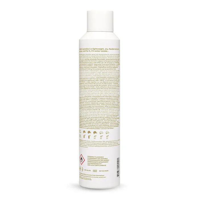 Builders Paradise Working Spray 300ml