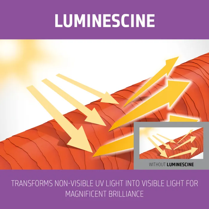 473-dualsenses-blondes-highlights-60-sec-treatment-1.webp