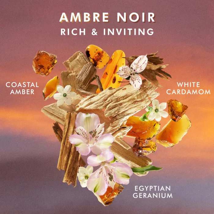 4893-body-lotion-ambre-noir-360ml-1.webp