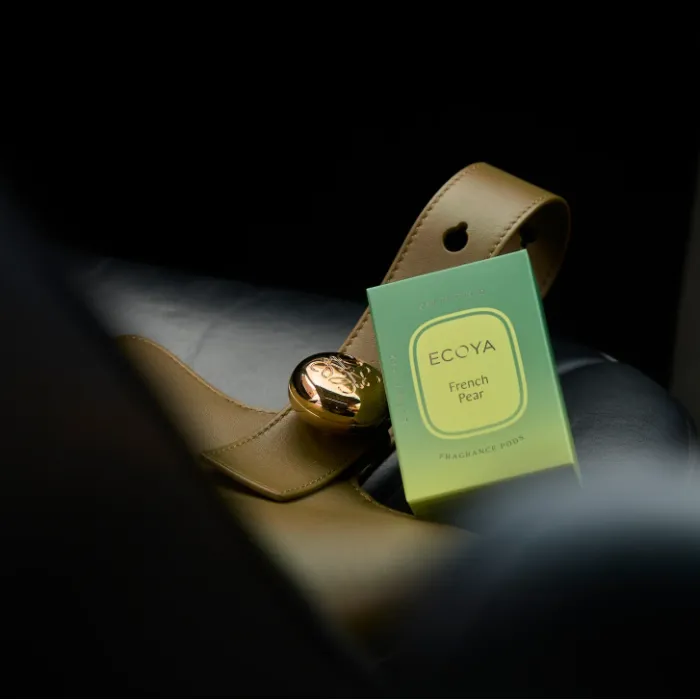 Car Diffuser Fragrance Pods in French Pear (2 x refill pods)